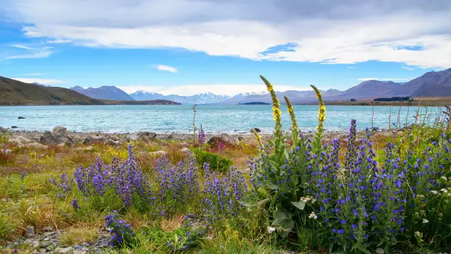 Najczystsze jezioro na świecie: niezwykła przejrzystość i zagrożenia