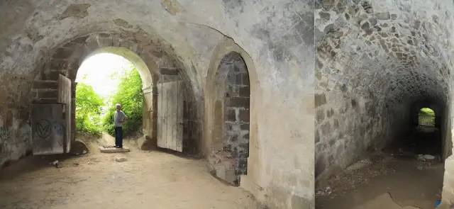 Ruiny zamku Jana Amora Tarnowskiego w Rożnowie - historia i tajemnice