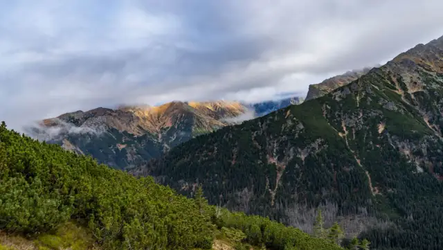 Gmina Bukowina Tatrzańska kontakt - wszystkie niezbędne informacje