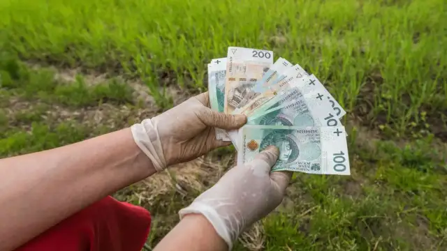 Renta chorobowa KRUS - jakie choroby kwalifikują do wsparcia?