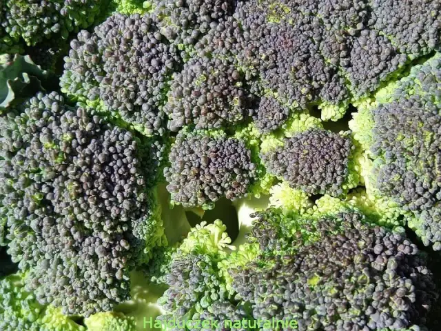 Sezon na brokuły: Kiedy są najsmaczniejsze i najzdrowsze?