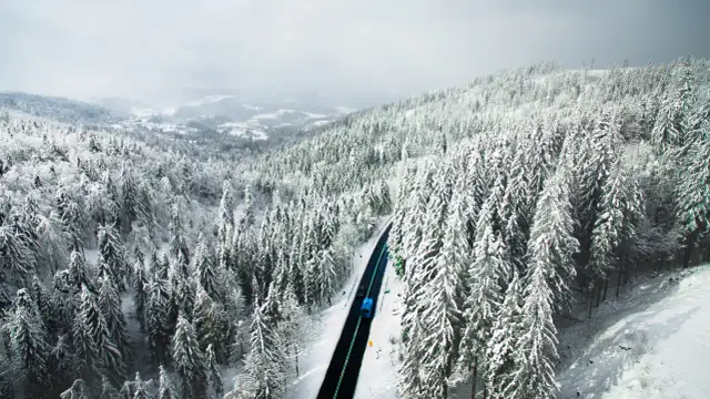 Zimowy krajobraz z ośnieżonym lasem i drogą, po której jedzie niebieski autobus.
