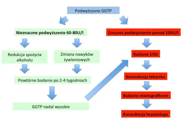 GGTP: Co oznacza podwyższony wynik? Normy, przyczyny i jak obniżyć