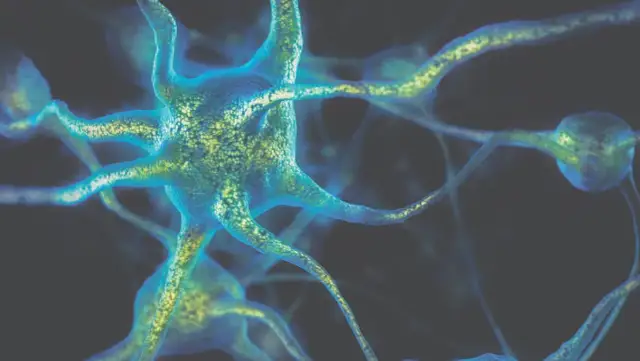 Pasożyty a objawy psychiczne: jak infekcje wpływają na zdrowie psychiczne