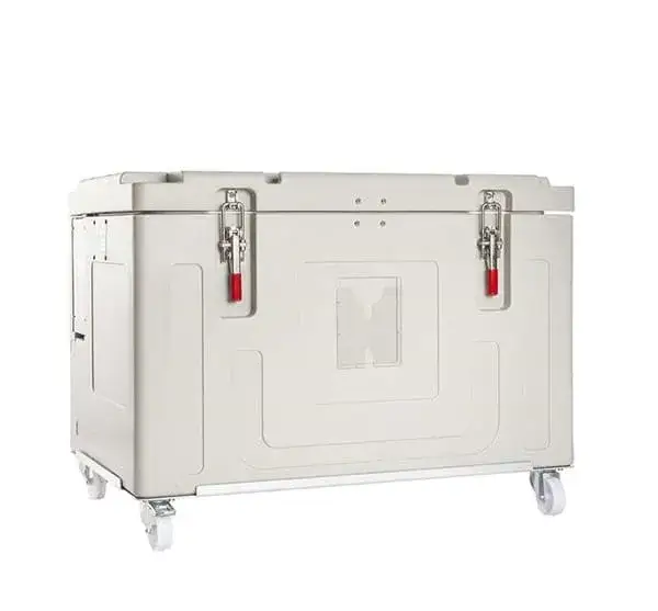 Przewóz lodów autem w upał: torba, lodówka, suchy lód!