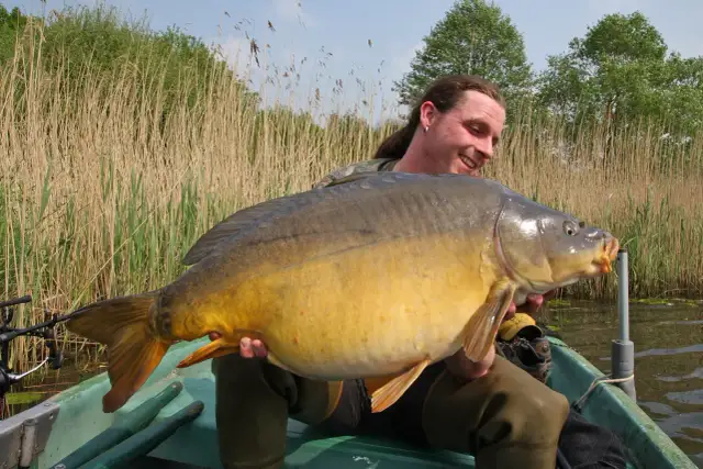 Wo halten sich Karpfen im See auf? Die besten Plätze für Angler