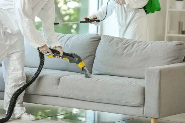 Jak posprzątać mieszkanie po dezynsekcji, aby uniknąć zagrożeń?