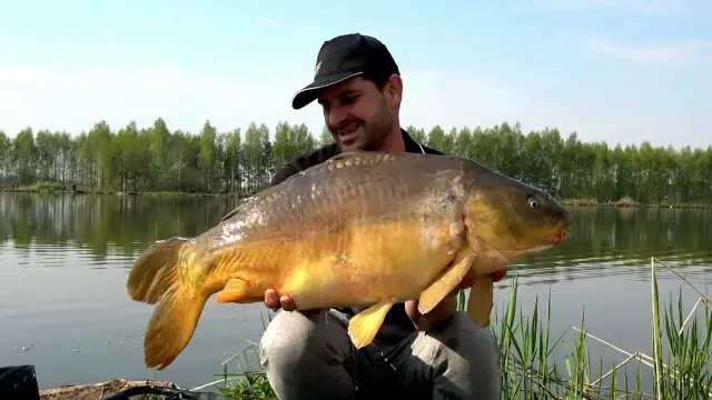 Najlepsza zanęta feeder bait: skuteczne przynęty dla wędkarzy