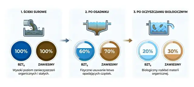 Ilustracja przedstawia etapy oczyszczania ścieków: surowe, po osadniku i po oczyszczaniu biologicznym, z wizualizacją redukcji zanieczyszczeń.