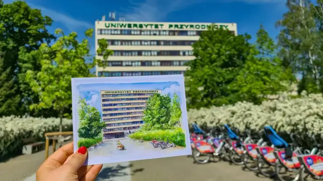 Uniwersytet Przyrodniczy – kluczowe informacje o Wrocławiu i Poznaniu