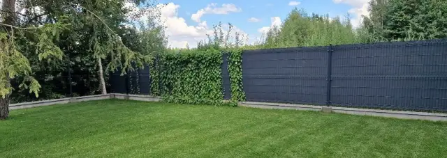 Skuteczne sposoby na zasłonięcie ogrodzenia panelowego w ogrodzie