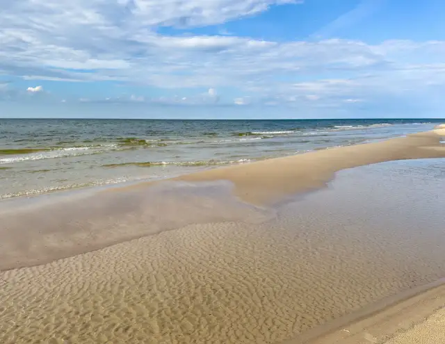 Protisty w Bałtyku: niewidzialni władcy. Jak kształtują morze?