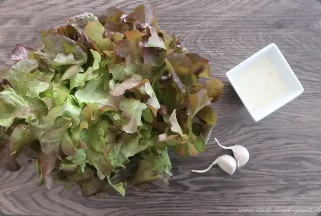 Grüner Salat mal anders: Nie wieder langweilig 3 Top-Rezepte