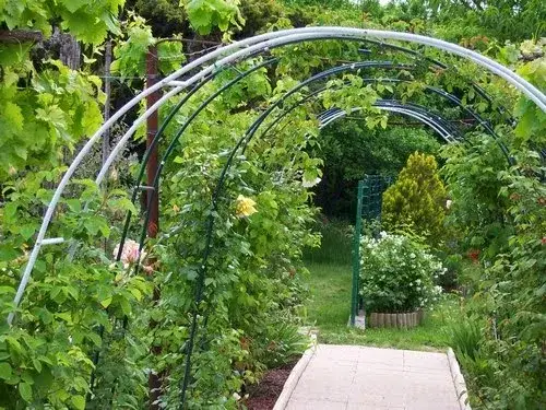 Pergola z drutu DIY: Jak zbudować krok po kroku?