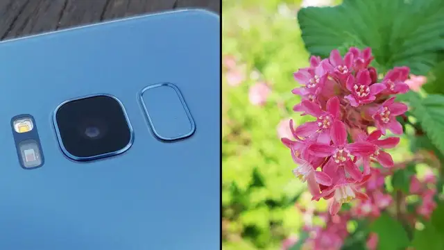 Zdjęcie oka jak pro? Makrofotografia smartfonem i aparatem