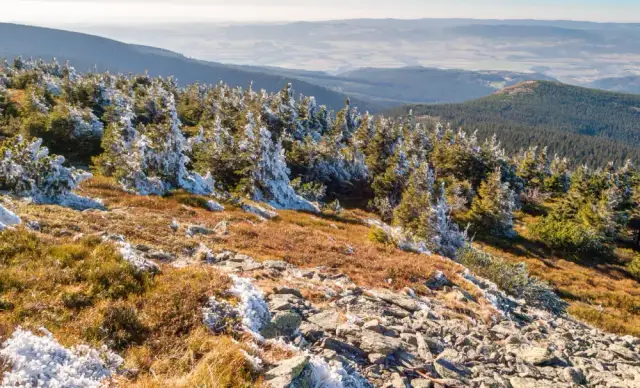 Śnieżnik atrakcje: Odkryj najciekawsze miejsca i aktywności w regionie