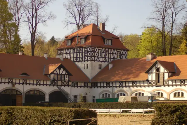 Książ stadnina: Historia, hodowla koni i emocjonujące wydarzenia