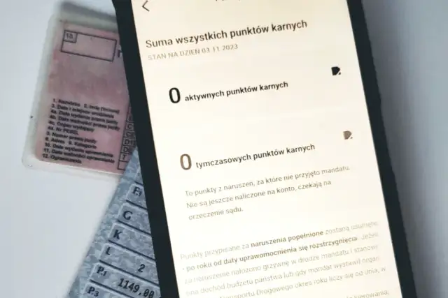 Ile punktów karnych za telefon? Sprawdź, co grozi kierowcom
