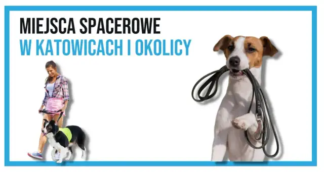 Gdzie z psem na spacer w Śląsku? Odkryj najlepsze miejsca dla psów