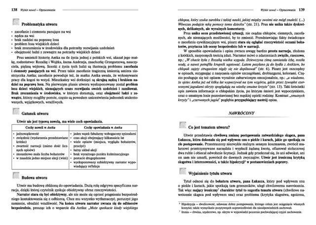 Recenzja książki kamizelka - miłość, poświęcenie i emocje w noweli