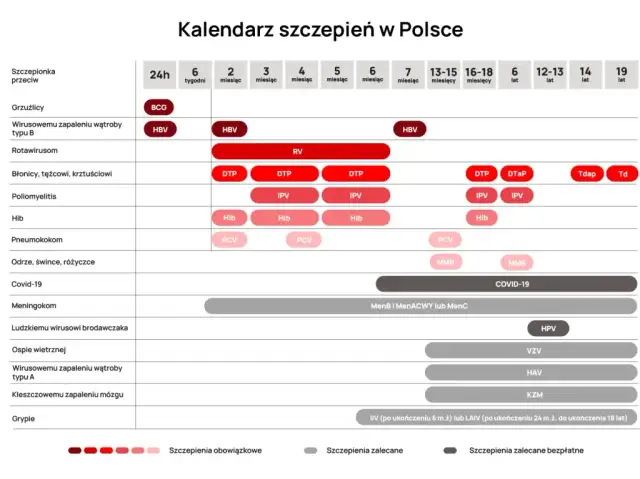 Kiedy szczepienia dziecka? Poznaj ważne terminy i zalecenia