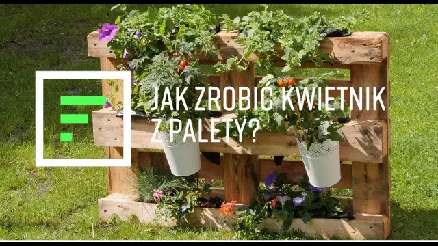 Jak zrobić kwietnik z europalety? Poradnik DIY krok po kroku