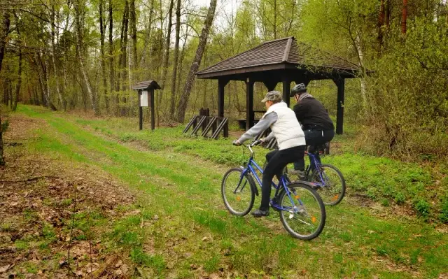 Najlepsze trasy rowerowe w Piasecznie – odkryj piękno okolicy