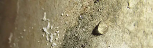 Mokra ściana wewnętrzna co zrobić: skuteczne sposoby na wilgoć