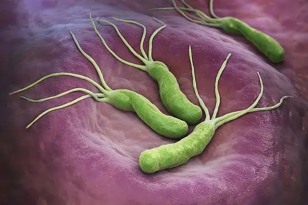 H. pylori w ustach: objawy, diagnoza i leczenie | Poznaj związek