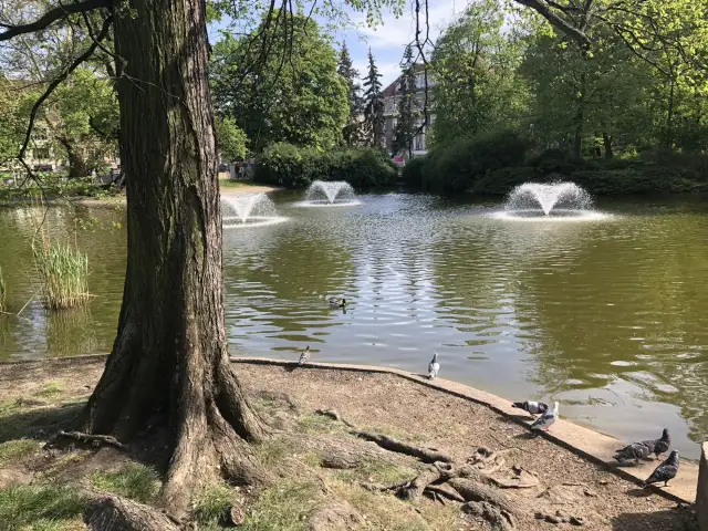 Poznań: Najlepsze miejsca na spacer i zwiedzanie po mieście