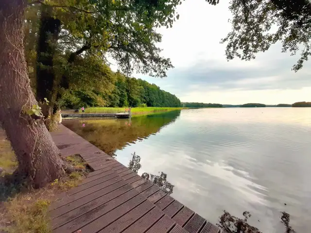 Atrakcje w Barlinku, które musisz zobaczyć i przeżyć w pełni
