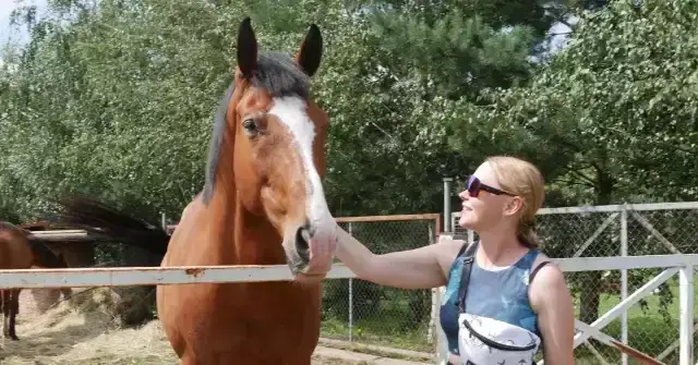 Stadnina koni Plękity: Historia, hodowla i aktualne informacje