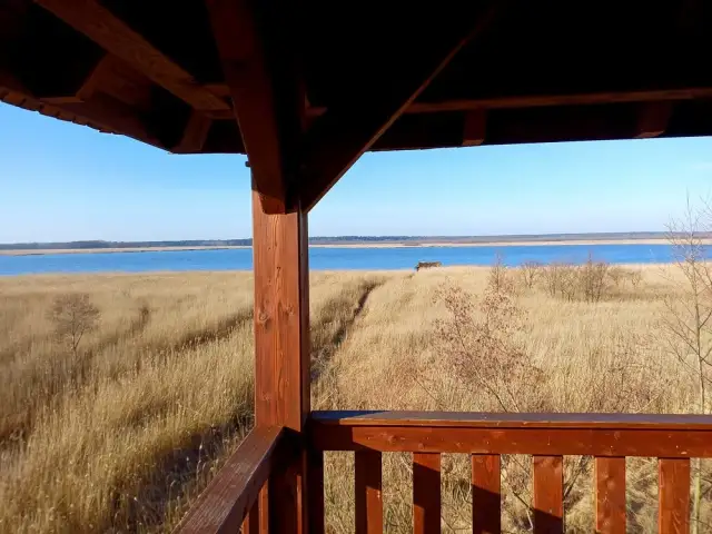 Jezioro Świdwie: niezwykłe miejsce dla miłośników ptaków i przyrody