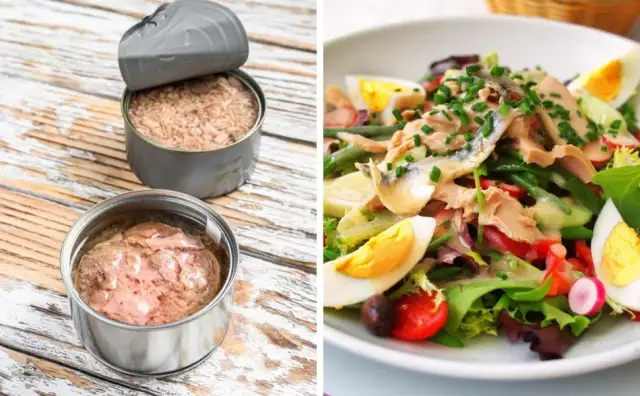 Czy pies może jeść tuńczyka z puszki? Sprawdź, co musisz wiedzieć