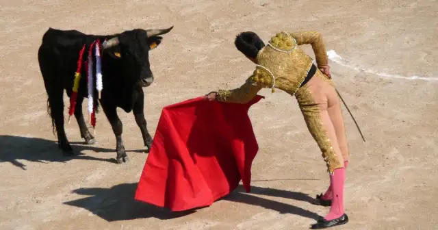 Czy corrida jest zakazana w Hiszpanii? Sprawdź kontrowersje prawne