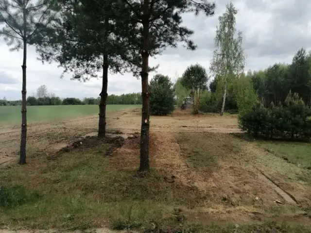 Jak wykarczować działkę: proste kroki do efektywnego oczyszczenia terenu