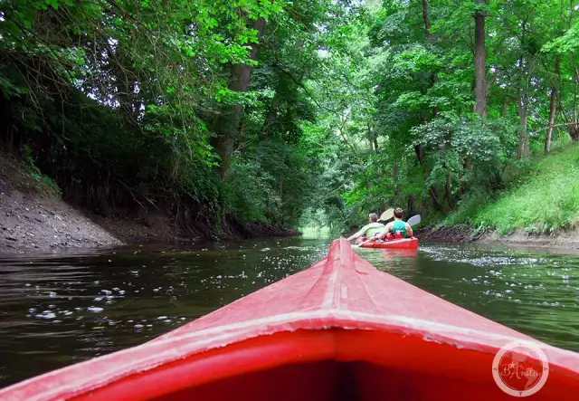 Najpiękniejsze spływy kajakowe w Wielkopolsce: TOP trasy i porady