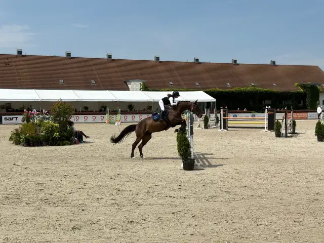 Zawody jeździeckie w Polsce: Odkryj różnorodność i emocje rywalizacji