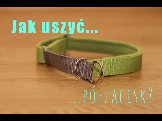 Jak zrobić obrożę dla psa – łatwy sposób na wyjątkowy dodatek dla pupila