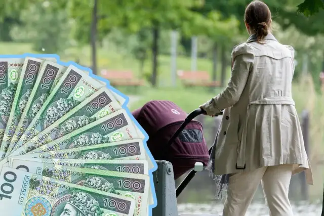 800+ 2025: Kiedy dostaniesz pieniądze? Pełny harmonogram ZUS