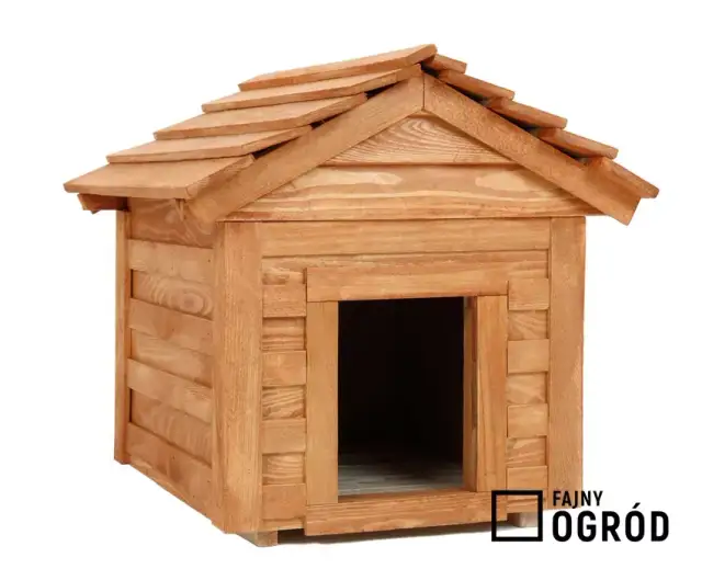 Jak zbudować budę dla psa? Praktyczny poradnik krok po kroku