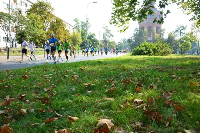 Pierwszy maraton jaki czas - realistyczne cele dla debiutantów