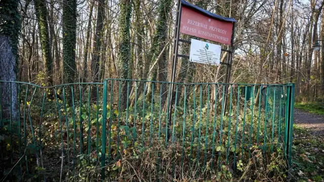 Rezerwat przyrody Polesie Konstantynowskie: historia i atrakcje, które musisz poznać