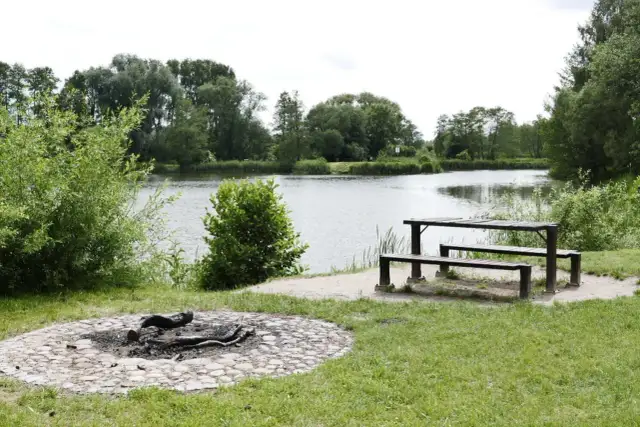 Najciekawsze atrakcje w Tarczynie, które musisz zobaczyć