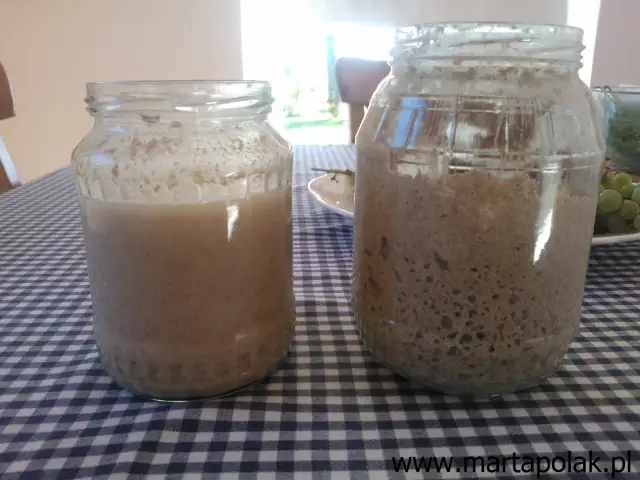 Jak dokarmiać zakwas na chleb? Poradnik dla idealnego wypieku