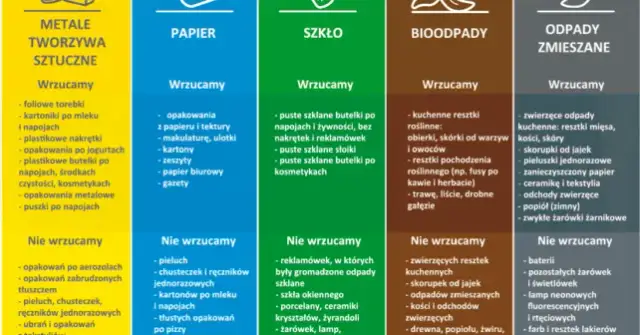 Gdzie wyrzucić śmieci: kompletny poradnik segregacji odpadów komunalnych