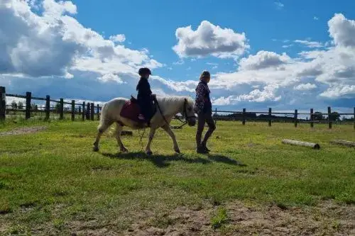 Najlepsze stadniny koni w Nowym Sączu – porównaj oferty i usługi