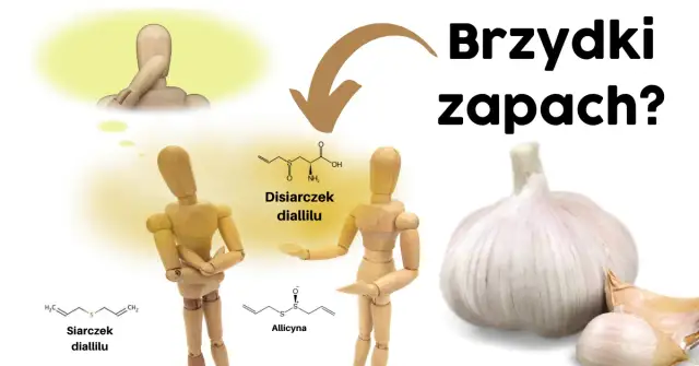 Czy czosnek jest zdrowy? Odkryj jego niesamowite właściwości!