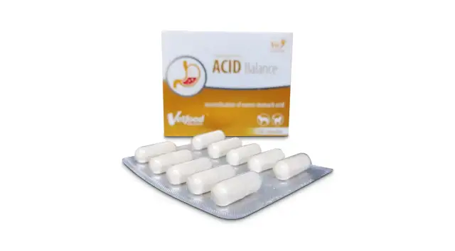 Acid Balance dla psa: zakwaszanie moczu, kamica i infekcje