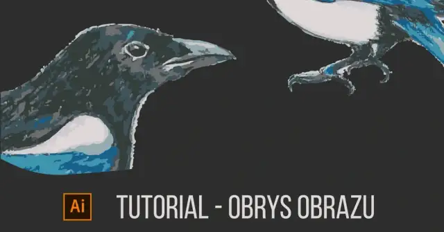 Wektoryzacja w Photoshopie: Jak zamienić raster w wektor? Poradnik